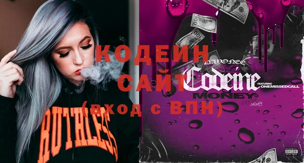 крисы Верхний Тагил