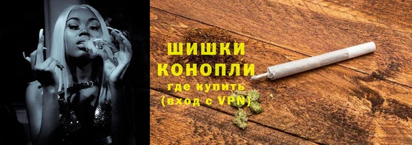 крисы Верхний Тагил