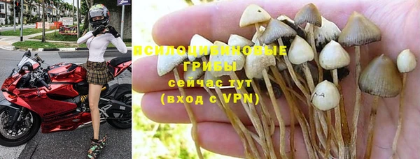 мет Верея