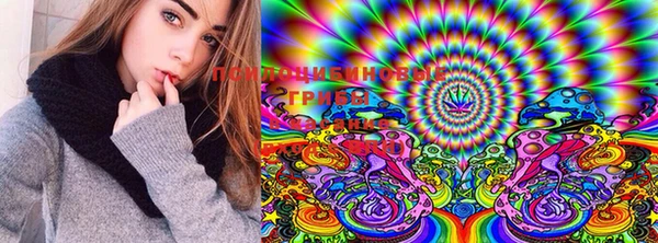PSILOCYBIN Волоколамск